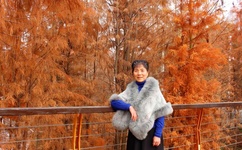 全彩口工番全漫画大全